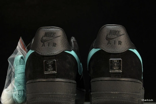 Tiffany Low 1  Force 1837 & Nike Air DZ1382-001 Co. 0208